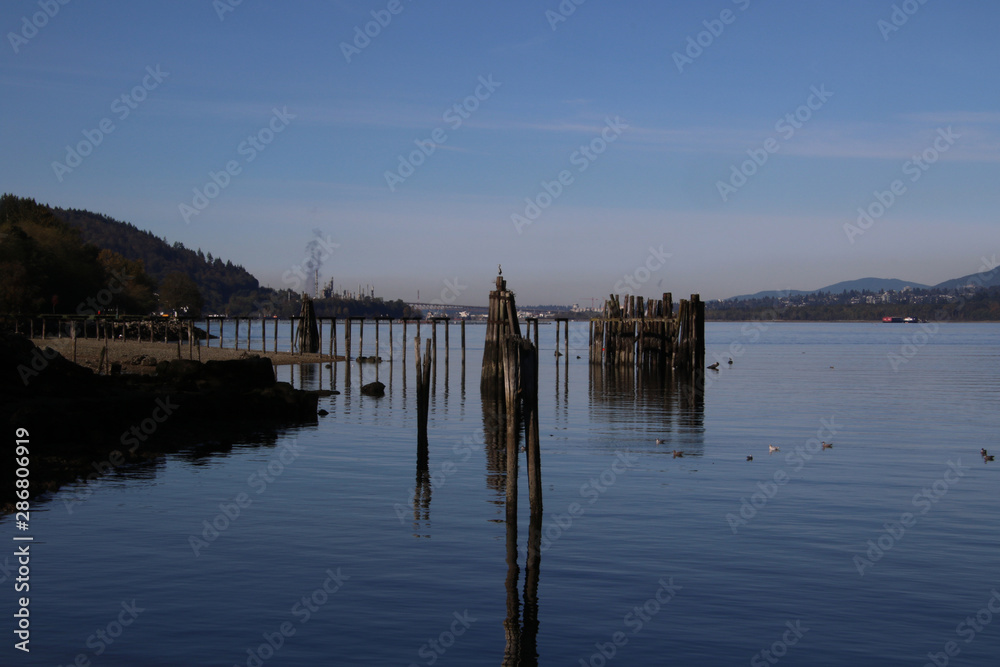 A view of pilings in a harbour