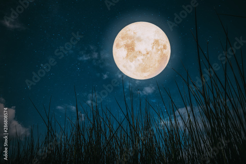 Beautiful autumn fantasy - wild grass in fall season and full moon with star. Retro style with vintage color tone. Halloween and Thanksgiving in night skies background concept.