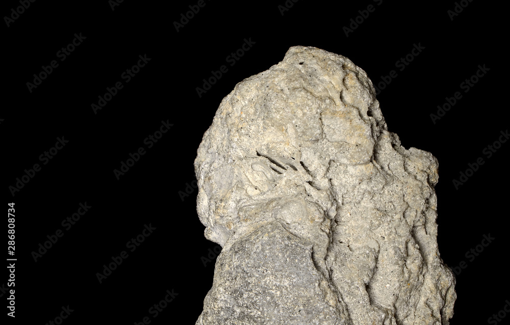 Closeup of coquina stone, sedimentary rock Closeup of coquina stone, sedimentary rock
