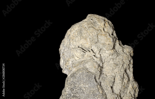 Closeup of coquina stone, sedimentary rock