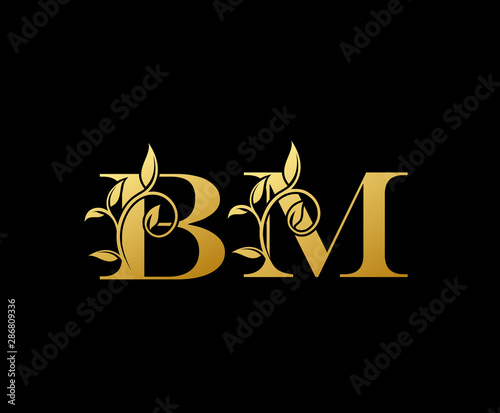 Golden letter B and M, BM, vintage decorative letter logo icon.