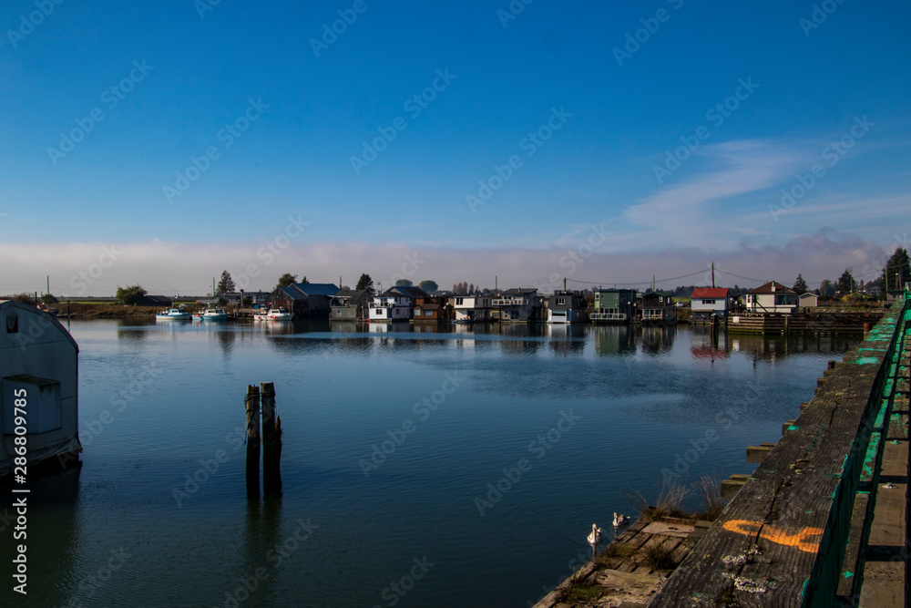 A view of a row of houseboats on the edge of a river