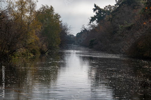 A view of a river with trees on both sides