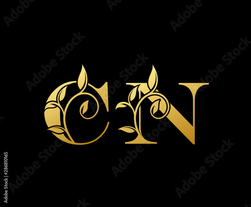 Golden letter C and N, CN, vintage decorative letter logo icon.