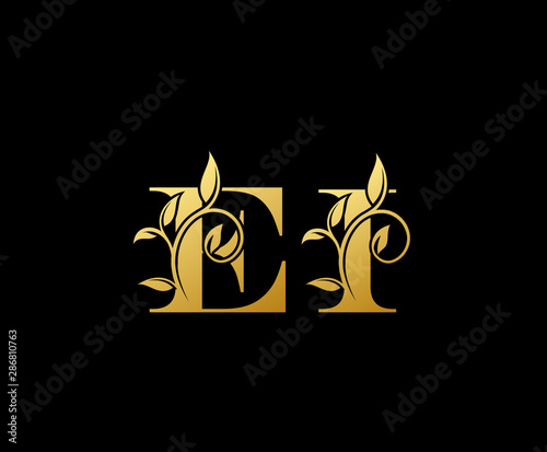 Golden letter E and I  EI  vintage decorative letter logo icon.