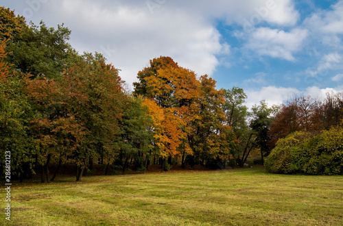 After summer part of park trees view