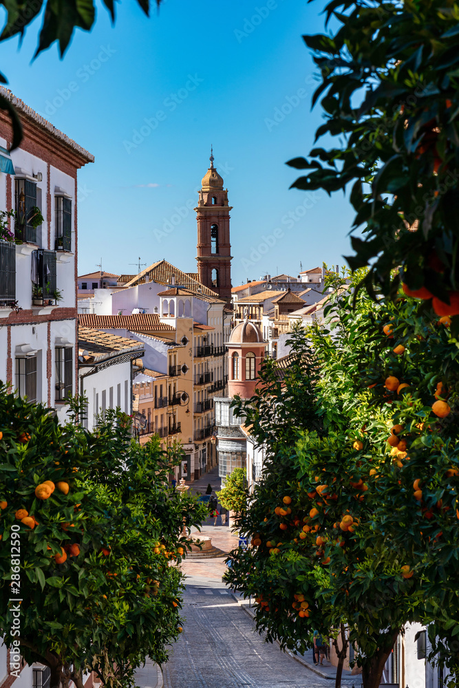 Obraz premium Wieża kościoła San Sebastian w Antequera w prowincji Malaga, Andaluzja, Hiszpania