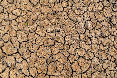 Top view of the Cracked soil in the summer. Cracks of the dried soil in arid season at rural Thailand.