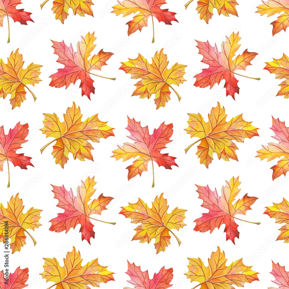 Watercolor leaves on a white background. Bright seamless pattern.Watercolour