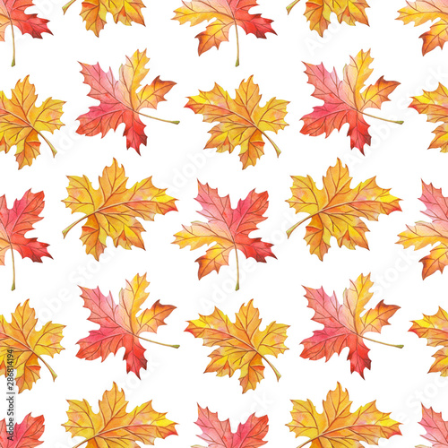 Watercolor leaves on a white background. Bright seamless pattern.Watercolour