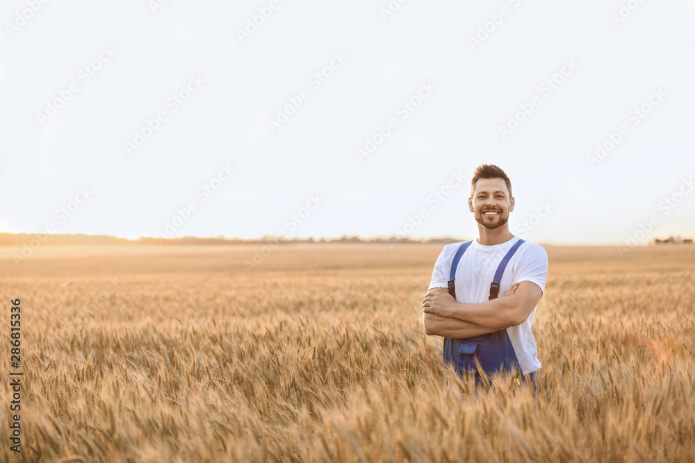 Farmer in field on sunny day Farmer in field on sunny day