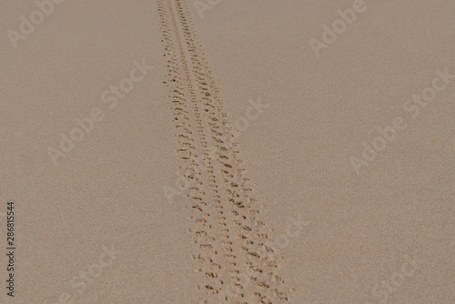 wheel track tire trace on dust sand