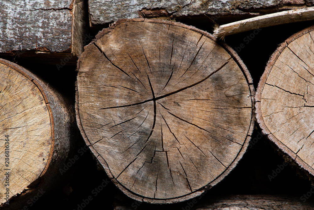 Naklejka premium Wood Texture