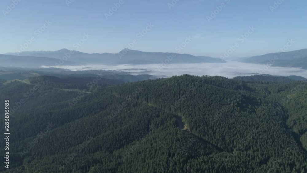 Aerial view. Fog covered mountain forest. 4K Aerial view. Fog covered mountain forest. 4K