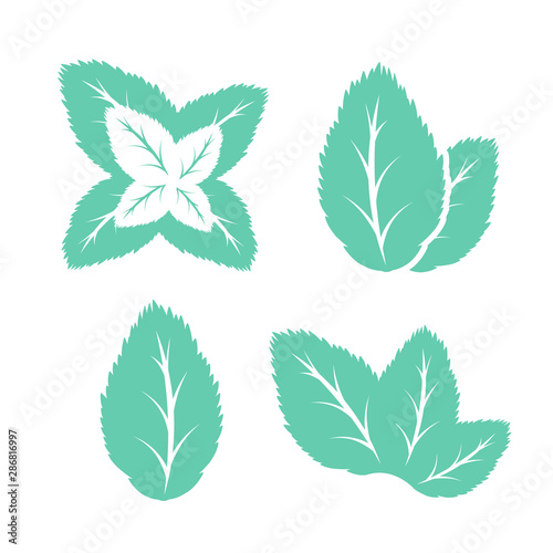 Mint leaves icons set.  Vector design elements. © IlayaStudio