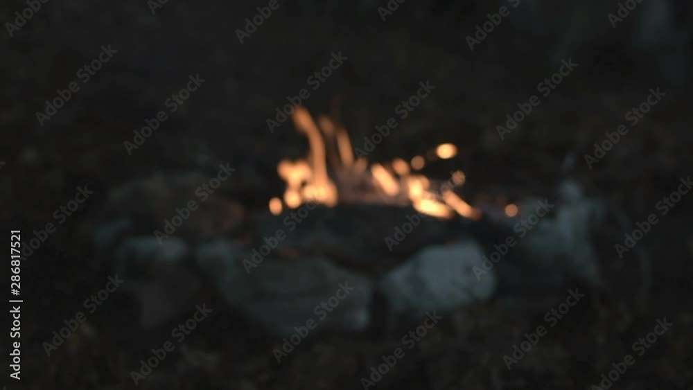 Campfire burning wood during night in the summer. Campfire burning wood during night in the summer.