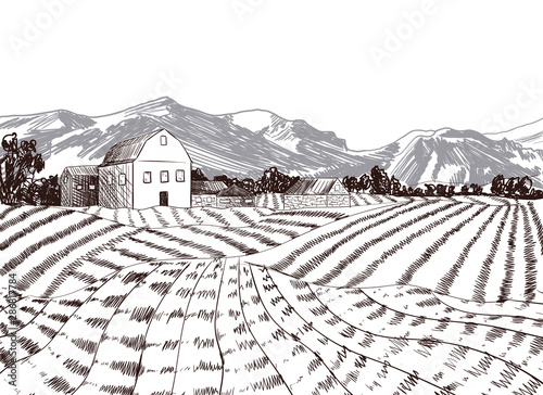 Vector Hand drawn Farm with Mountains Background, Freehand Drawing Illustration, Agriculture Concept.