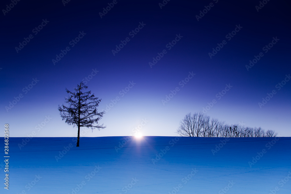 北海道 美瑛の雪景色stock Illustration Adobe Stock