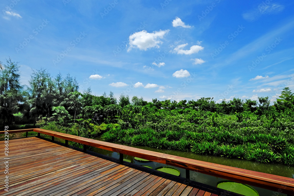 Plain wood outdoor balcony to the fresh green garden on blue sky