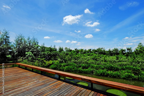 Plain wood outdoor balcony to the fresh green garden on blue sky