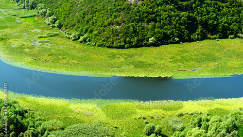 river and green nature, background landscape- lake skadar