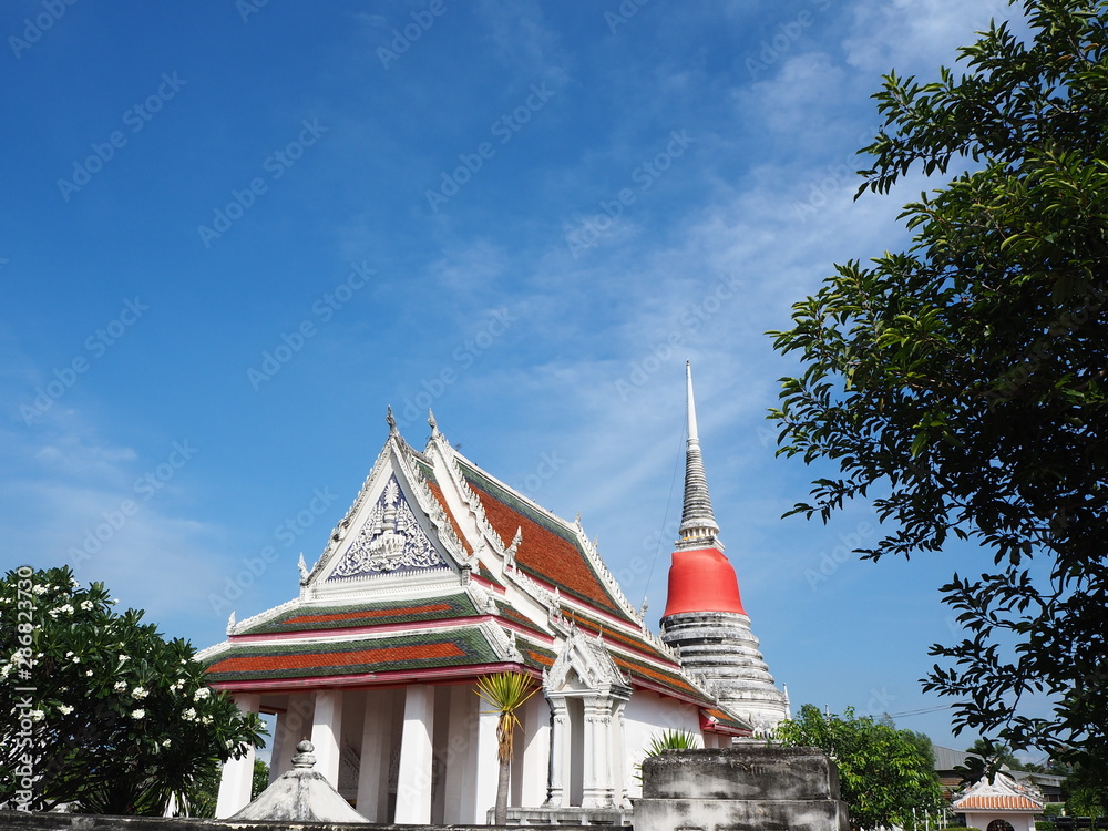 Fototapeta premium OLYMPUS DIGITAL CAMERA