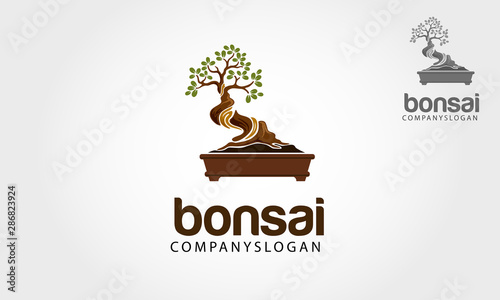 Bonsai vector logo template. Illustration this beautiful tree is a symbol of life, strength a good health. photo