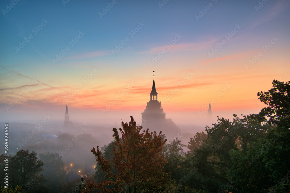 Frühmorgens auf dem Lüneburger Kalberg