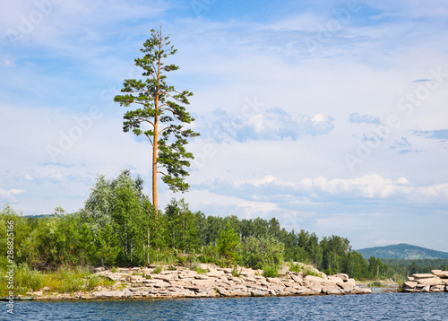 Lonely pine on a rocky island in the middle of the lake. The surface of the lake is covered with ripples and waves against a rocky coast. Summer landscape in sunny weather.