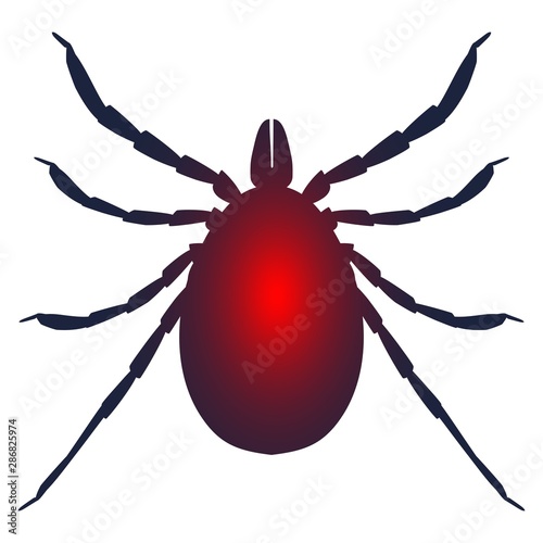 Insect silhouette. Tick parasite. Sketch of Tick. Mite design illustration