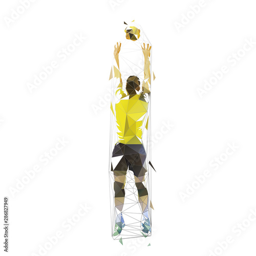 Volleyball player passing ball, isolated vector low poly illustration, geometric drawing