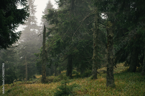 Backpacking in Jeseniky, autumn raiin and mist - mystical weather