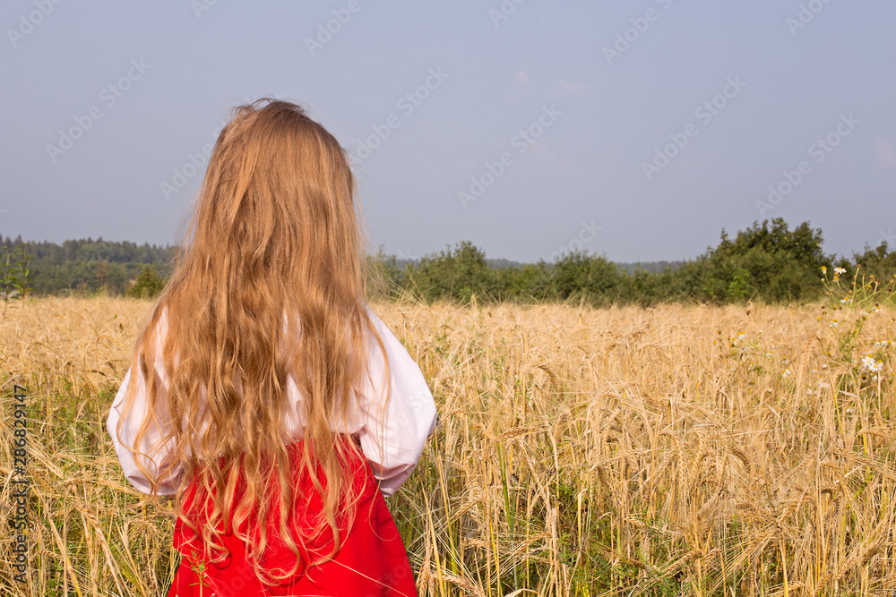 Little girl with long hair stands with her back and looks in the field