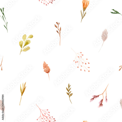 Seamless pattern of watercolor dried flowers, isolated on white background.