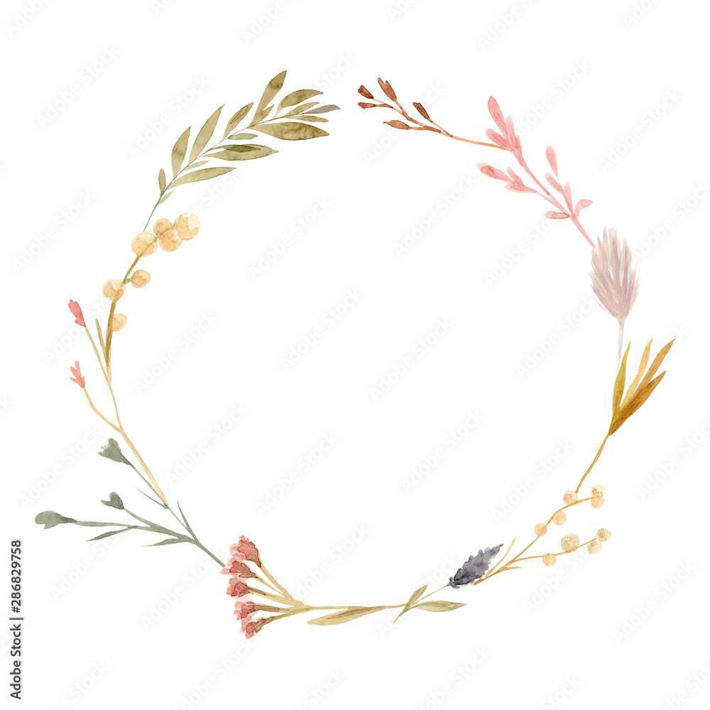 Set of watercolor dried flowers isolated on white background. Hand drawn wildflowers illustration. Set of watercolor dried flowers isolated on white background. Hand drawn wildflowers illustration.