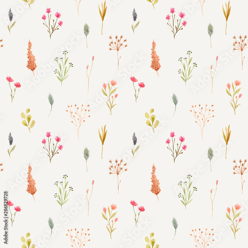 Seamless pattern of watercolor dried flowers, isolated on white background.