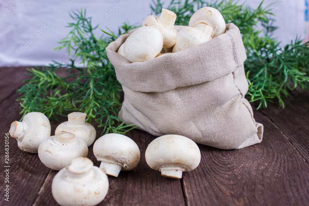 Fototapeta premium Champignon mushrooms in a bag on a dark background with a sprig of greenery