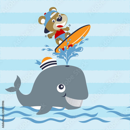vector cartoon of cute bear play surf with big whale