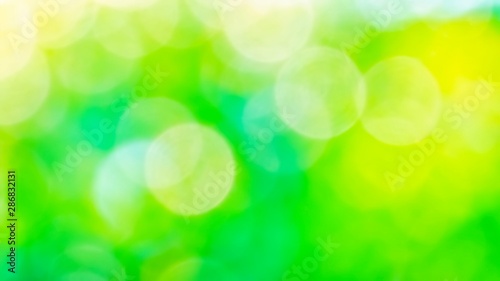 abstract green nature blur background and sunlight