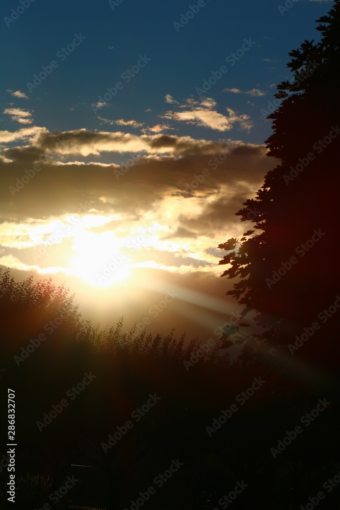 Obraz premium Rays of sunshine