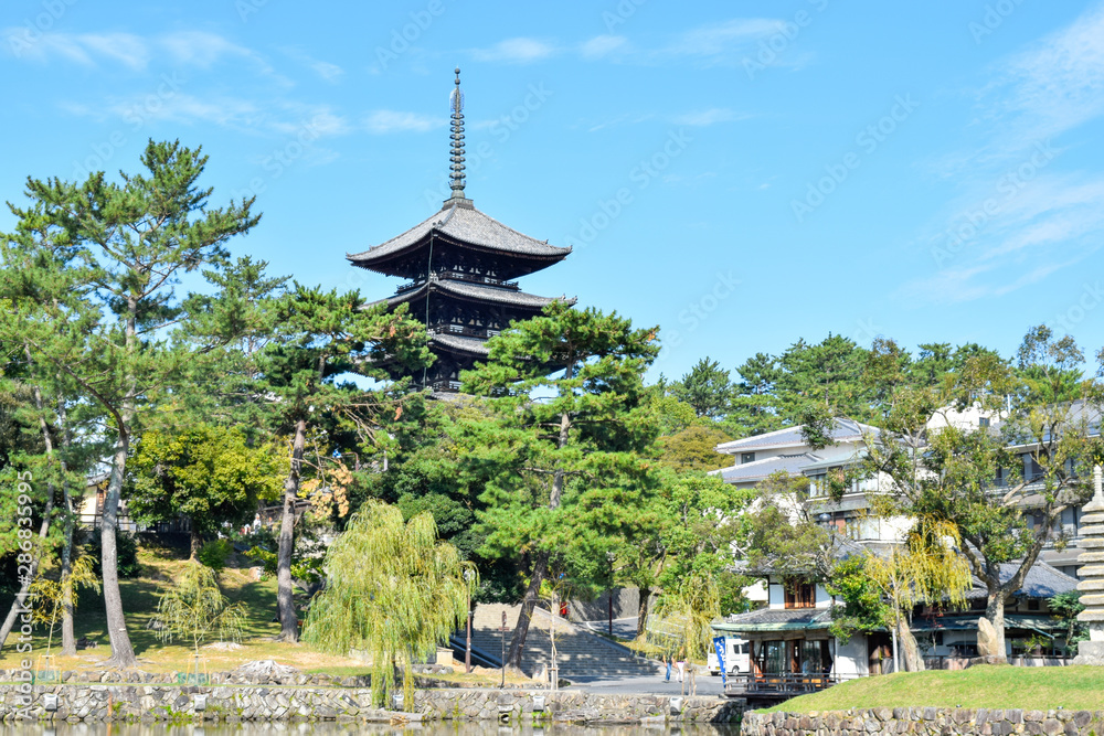興福寺