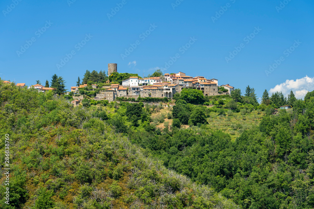 Panoramic view of Viano, Tuscany