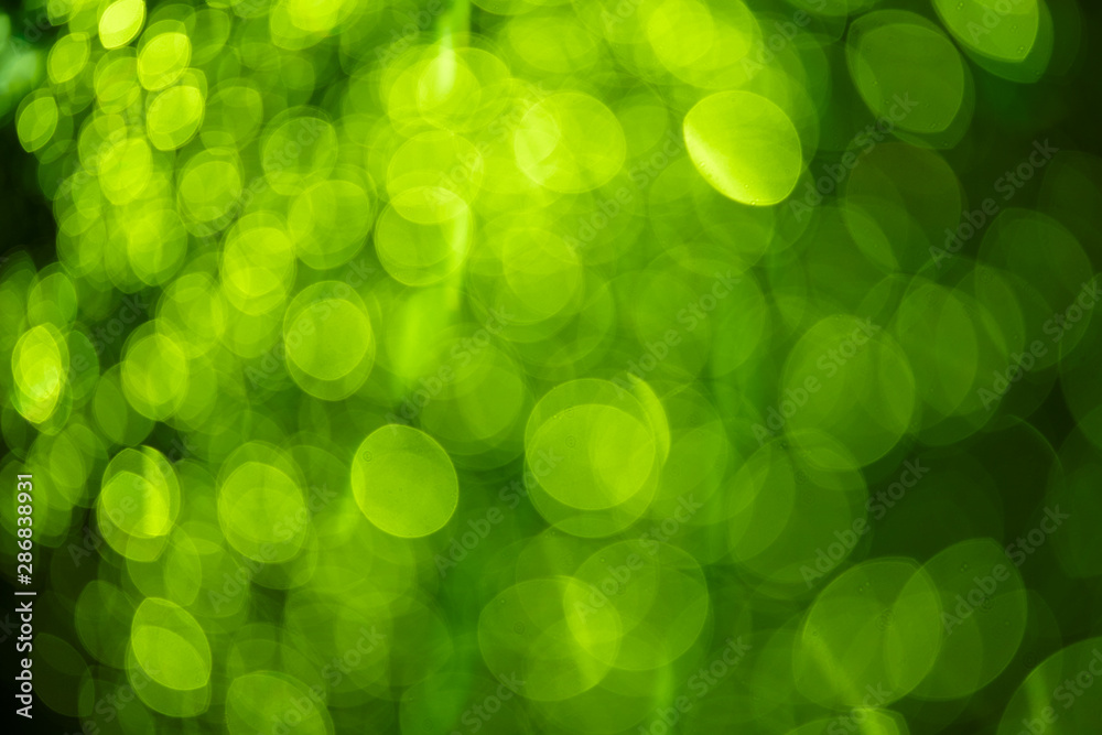 green blur background green blur background
