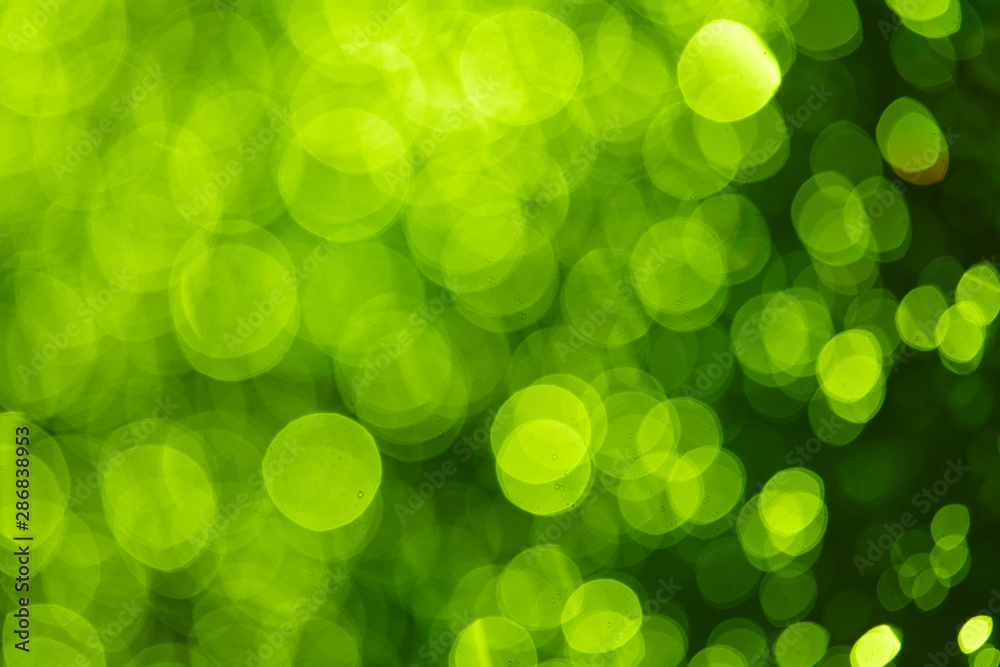 green blur background green blur background