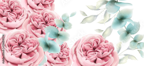 Peony flowers card Vector watercolor. Delicate pink floral decors