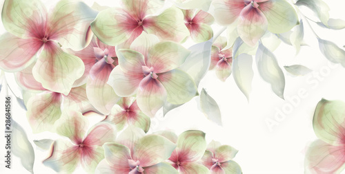 Lily flowers card background Vector watercolor. Floral wedding decors