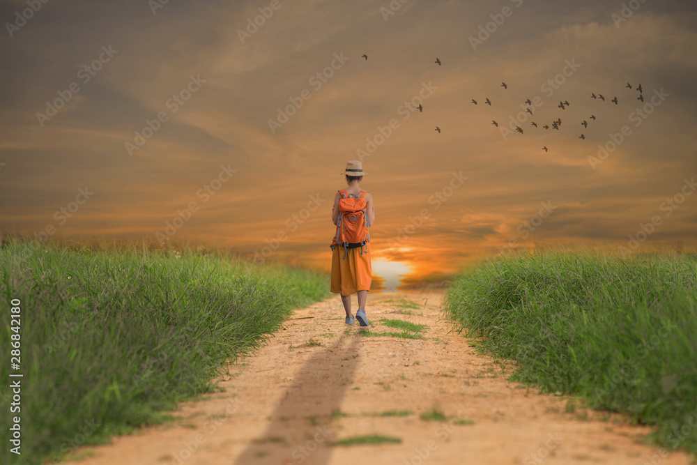 Alone young girl walking on the dirt road - obrazy, fototapety, plakaty 