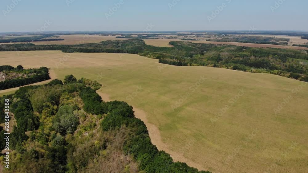 Field with corn. Summer landscape. The concept of a rich harvest, growth and development. Agriculture. Harvesting Field with corn. Summer landscape. The concept of a rich harvest, growth and development. Agriculture. Harvesting