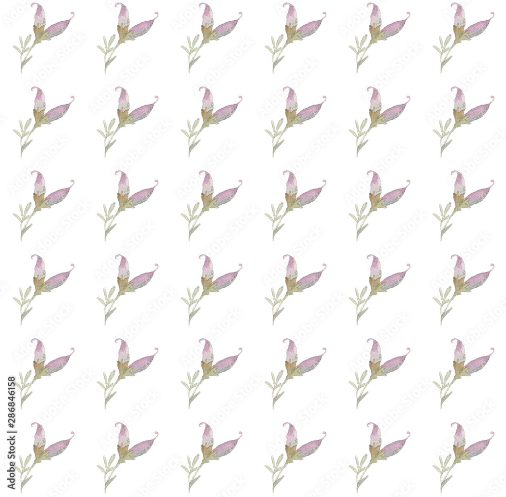 Purple watercolor flowers on a seamless white background Purple watercolor flowers on a seamless white background