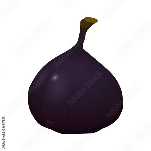 Cartoon fig
